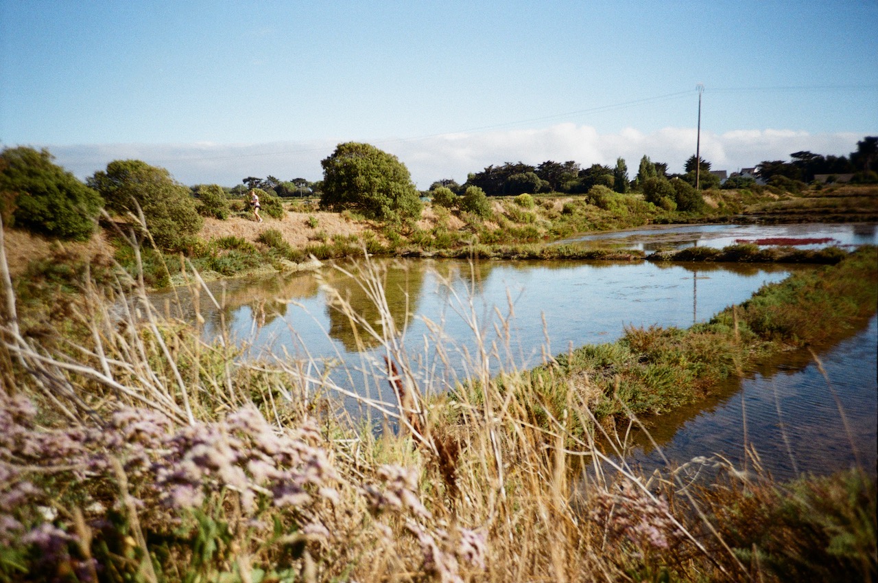 Le Croisic, Marais Salants