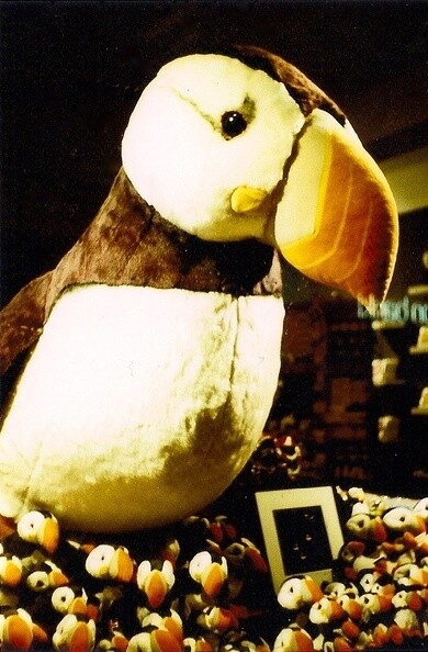 Jour 20 : Une peluche - Reykjavik, Islande #Lomo #LCA