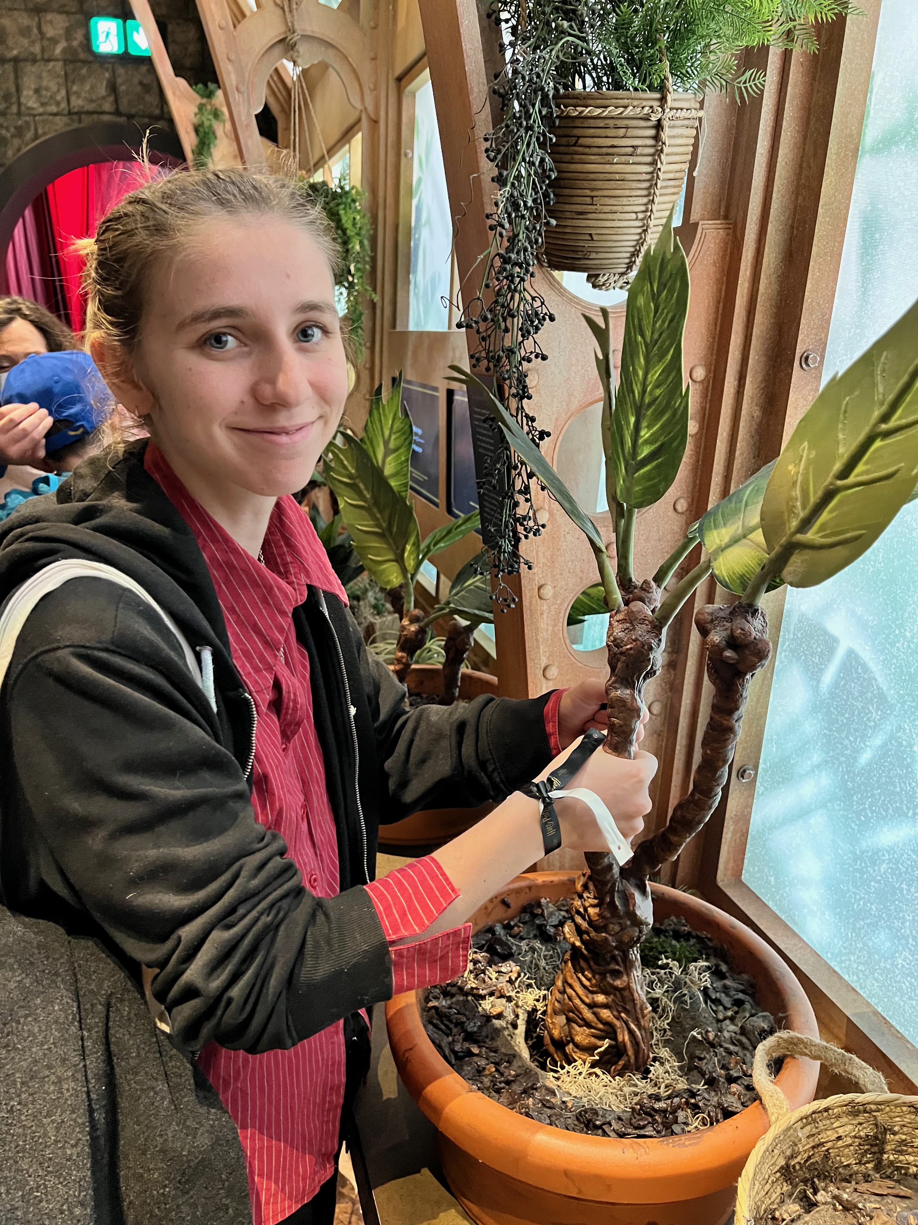 Cours de botanique